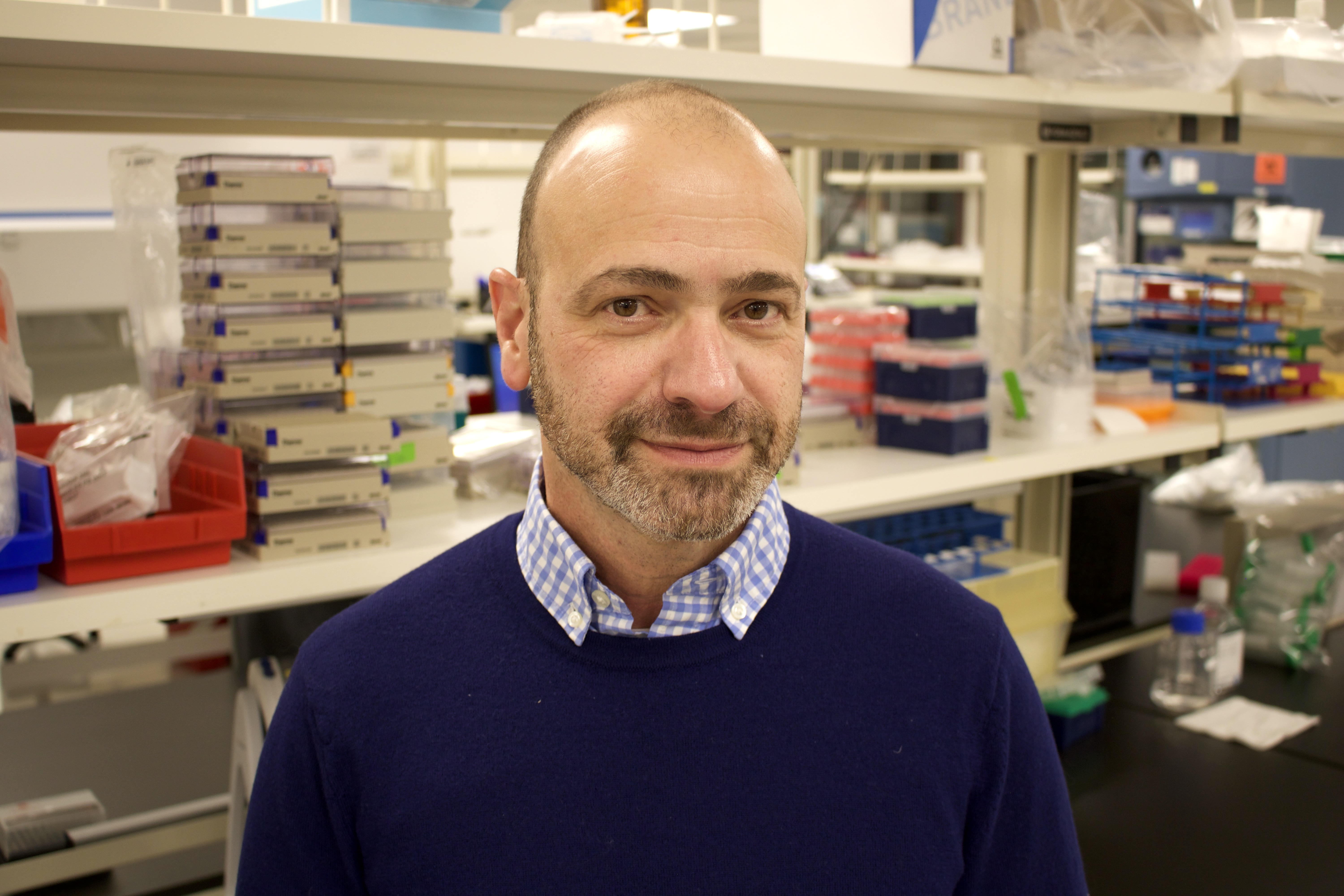 Photo of Tamir Kanias, Ph.D.